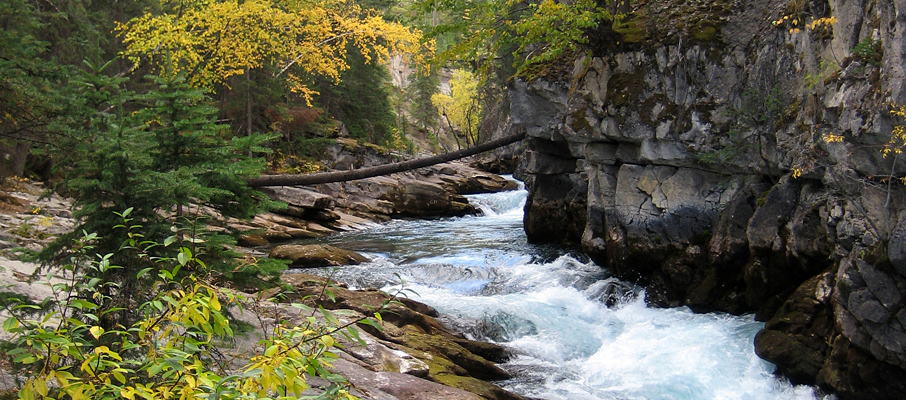 The lower section of the Canyon