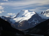 Mt. Athabasca from Lands Now Stolen by Brewsters On Route