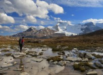 Wilcox Pass before Mt. Athabasca People